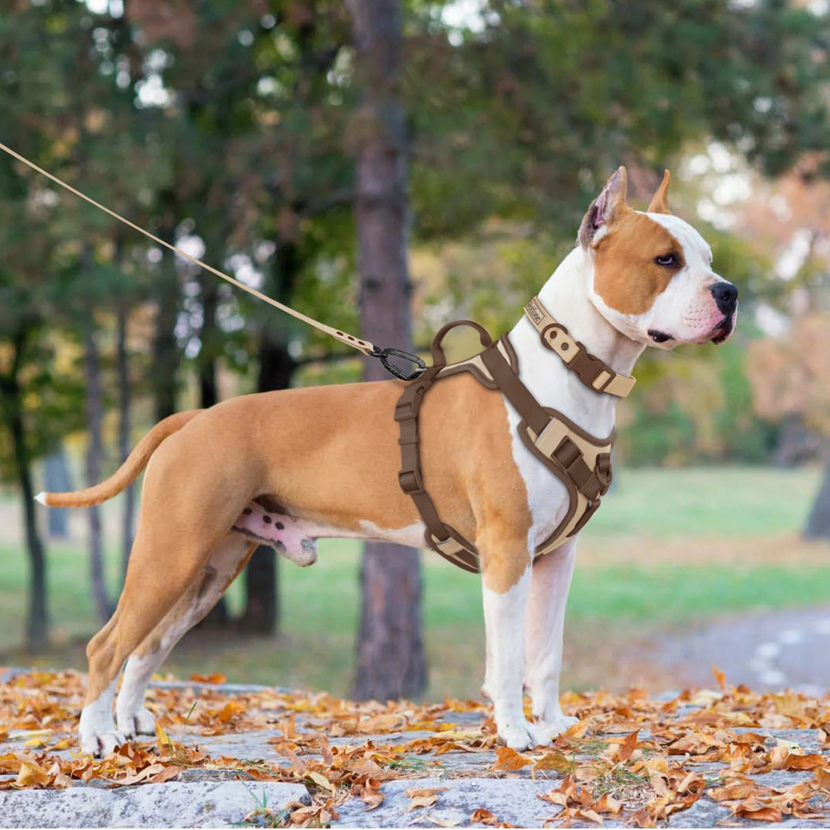 New Chocolate Color Luxury Dog Harness No Pull for Large Small Dogs Adjustable Chest Strap Dog Harness Personalized