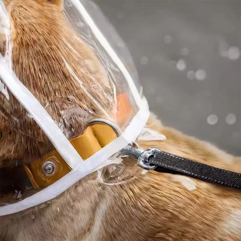 XS/8XL Pet Raincoat Transparent Dog Raincoat Waterproof and Windproof Pet Clothing Large Dog Pet Dog Dog Costume